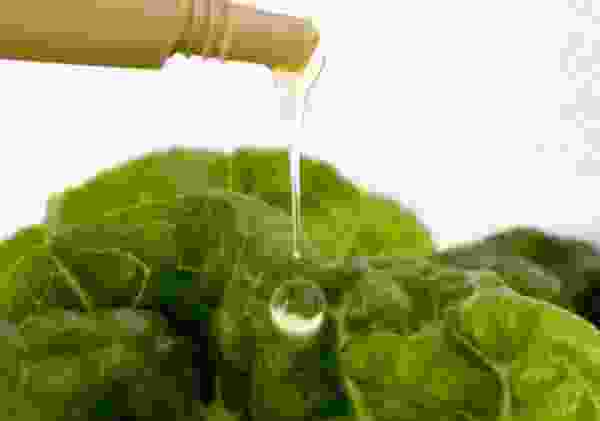 Kundengruppen Brutto / Nettopreise