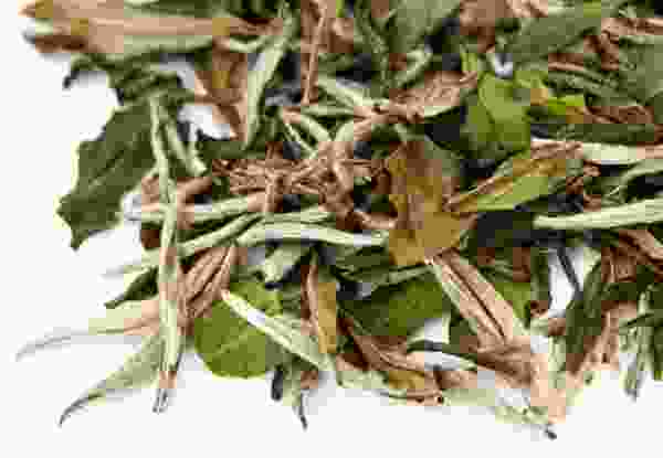 Pai Mu Tan Tee weiss