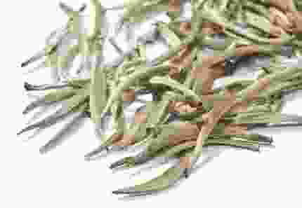 Silver Yin Zhen Tee weiss